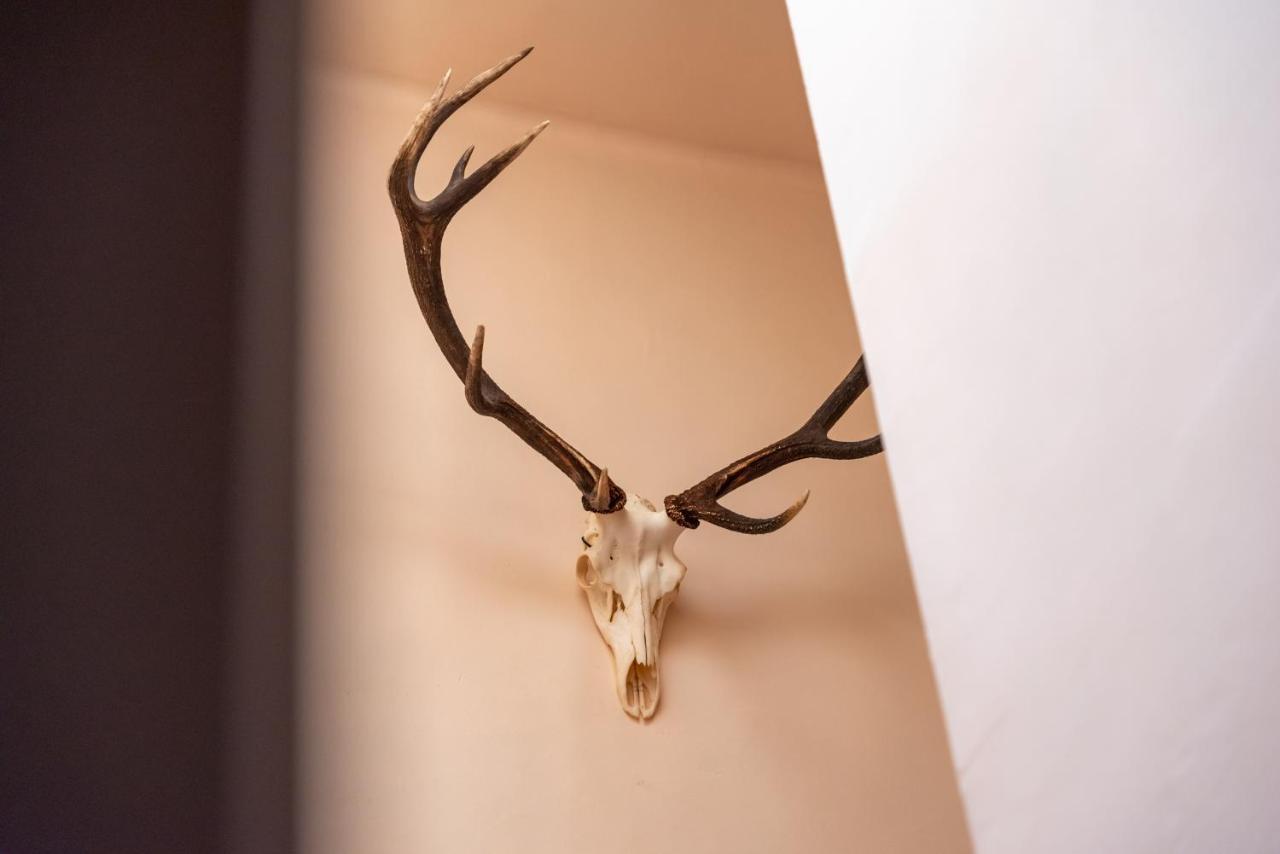 Hotel Le Cor De Chasse Сент-Юбер Экстерьер фото